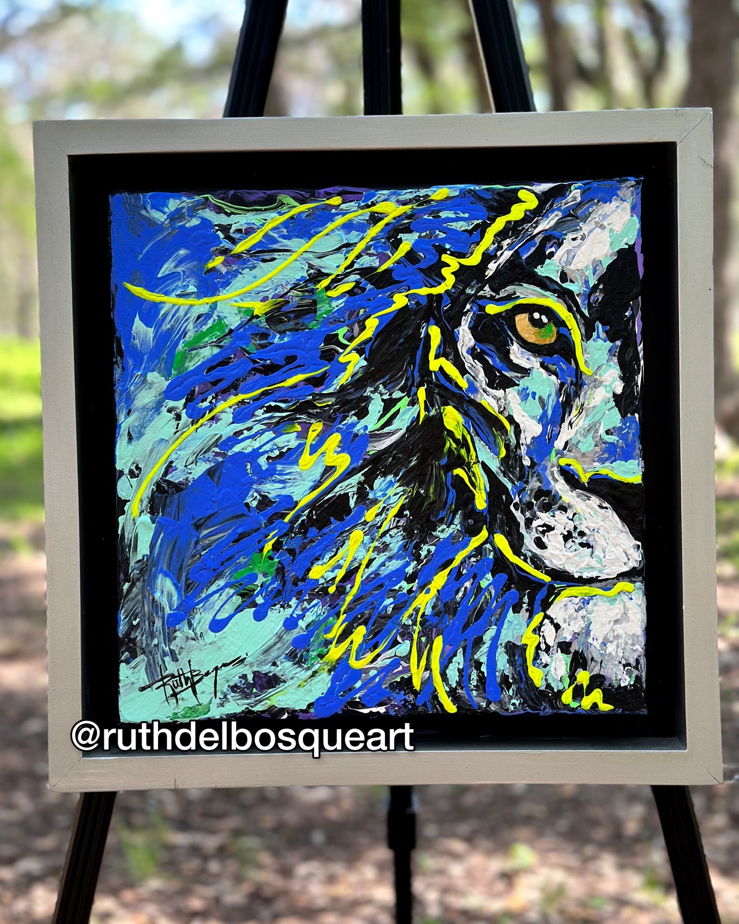 See Me 6 - Series See Me